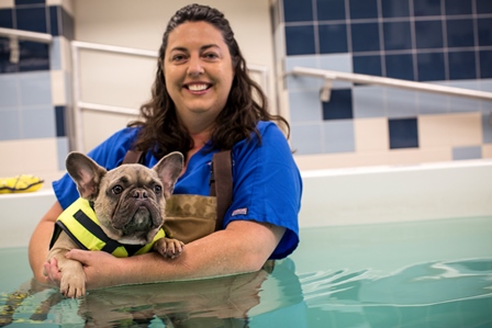 Veterinary technician Wendy Davies is shown with a dog receiving hydrotherapy in the UF Small Animal Hospital. The UF Veterinary Hospitals experienced an 11 percent increase in caseload in 2015, along with 5 percent net revenue growth. (Photo by Nick Burchell)
