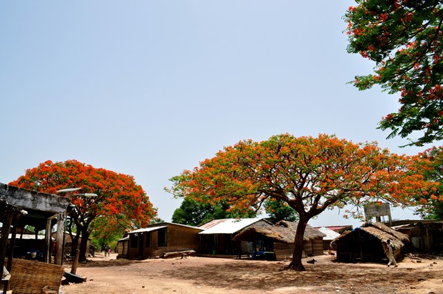 A village near Kedougou, Senegal where Dr. Derek Cummings conducts field studies of sylvatic arboviruses.